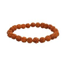 Pulsera Semillas de Rudraska